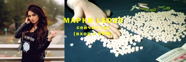 прущая мука Алзамай